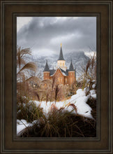 Load image into Gallery viewer, Provo City Center Winter Warmth
