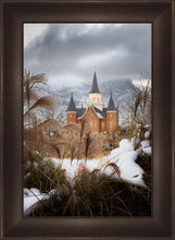 Load image into Gallery viewer, Provo City Center Winter Warmth
