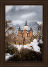 Load image into Gallery viewer, Provo City Center Winter Warmth
