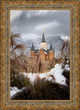 Load image into Gallery viewer, Provo City Center Winter Warmth
