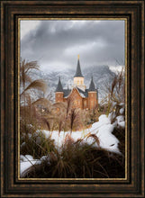 Load image into Gallery viewer, Provo City Center Winter Warmth
