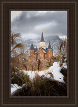 Load image into Gallery viewer, Provo City Center Winter Warmth
