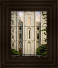 Load image into Gallery viewer, Salt Lake The Morning Breaks
