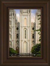 Load image into Gallery viewer, Salt Lake The Morning Breaks
