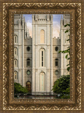 Load image into Gallery viewer, Salt Lake The Morning Breaks
