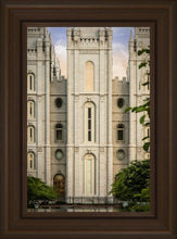 Load image into Gallery viewer, Salt Lake The Morning Breaks
