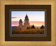 Load image into Gallery viewer, Manti His Call - Reap Where You Stand

