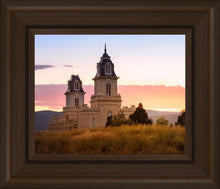 Load image into Gallery viewer, Manti His Call - Reap Where You Stand
