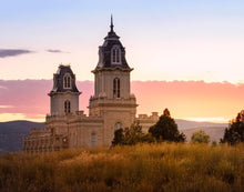 Load image into Gallery viewer, Manti His Call - Reap Where You Stand
