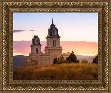 Load image into Gallery viewer, Manti His Call - Reap Where You Stand

