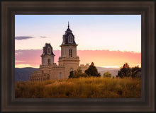 Load image into Gallery viewer, Manti His Call - Reap Where You Stand
