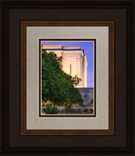 Load image into Gallery viewer, Mesa Temple Living Heritages
