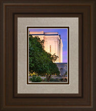 Load image into Gallery viewer, Mesa Temple Living Heritages
