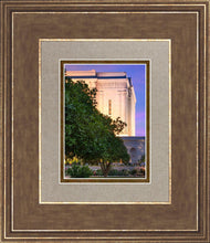 Load image into Gallery viewer, Mesa Temple Living Heritages

