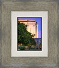 Load image into Gallery viewer, Mesa Temple Living Heritages
