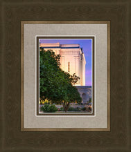 Load image into Gallery viewer, Mesa Temple Living Heritages
