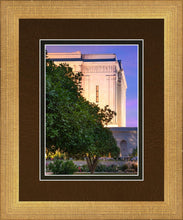 Load image into Gallery viewer, Mesa Temple Living Heritages
