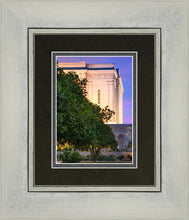 Load image into Gallery viewer, Mesa Temple Living Heritages
