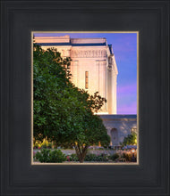 Load image into Gallery viewer, Mesa Temple Living Heritages
