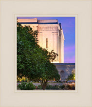 Load image into Gallery viewer, Mesa Temple Living Heritages
