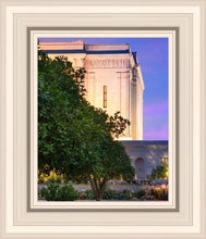 Load image into Gallery viewer, Mesa Temple Living Heritages
