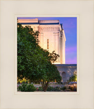 Load image into Gallery viewer, Mesa Temple Living Heritages

