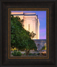 Load image into Gallery viewer, Mesa Temple Living Heritages

