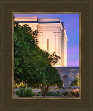 Load image into Gallery viewer, Mesa Temple Living Heritages
