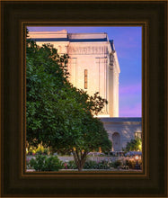 Load image into Gallery viewer, Mesa Temple Living Heritages
