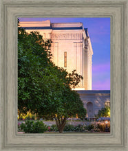 Load image into Gallery viewer, Mesa Temple Living Heritages
