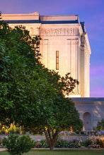 Load image into Gallery viewer, Mesa Temple Living Heritages Gallery Wrap
