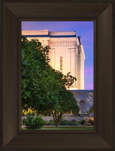 Load image into Gallery viewer, Mesa Temple Living Heritages
