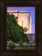 Load image into Gallery viewer, Mesa Temple Living Heritages
