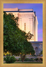 Load image into Gallery viewer, Mesa Temple Living Heritages
