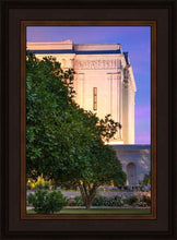 Load image into Gallery viewer, Mesa Temple Living Heritages

