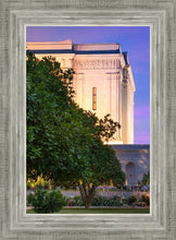 Load image into Gallery viewer, Mesa Temple Living Heritages
