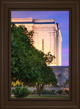 Load image into Gallery viewer, Mesa Temple Living Heritages
