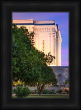 Load image into Gallery viewer, Mesa Temple Living Heritages
