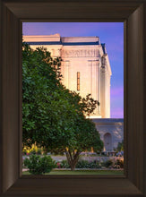 Load image into Gallery viewer, Mesa Temple Living Heritages
