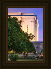Load image into Gallery viewer, Mesa Temple Living Heritages

