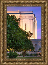 Load image into Gallery viewer, Mesa Temple Living Heritages
