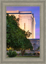 Load image into Gallery viewer, Mesa Temple Living Heritages

