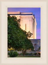 Load image into Gallery viewer, Mesa Temple Living Heritages
