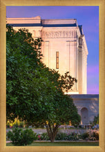 Load image into Gallery viewer, Mesa Temple Living Heritages
