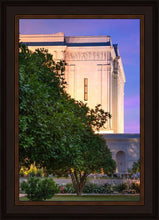 Load image into Gallery viewer, Mesa Temple Living Heritages
