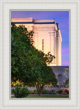 Load image into Gallery viewer, Mesa Temple Living Heritages

