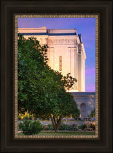 Load image into Gallery viewer, Mesa Temple Living Heritages
