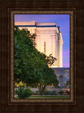 Load image into Gallery viewer, Mesa Temple Living Heritages
