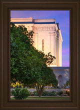 Load image into Gallery viewer, Mesa Temple Living Heritages
