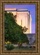 Load image into Gallery viewer, Mesa Temple Living Heritages
